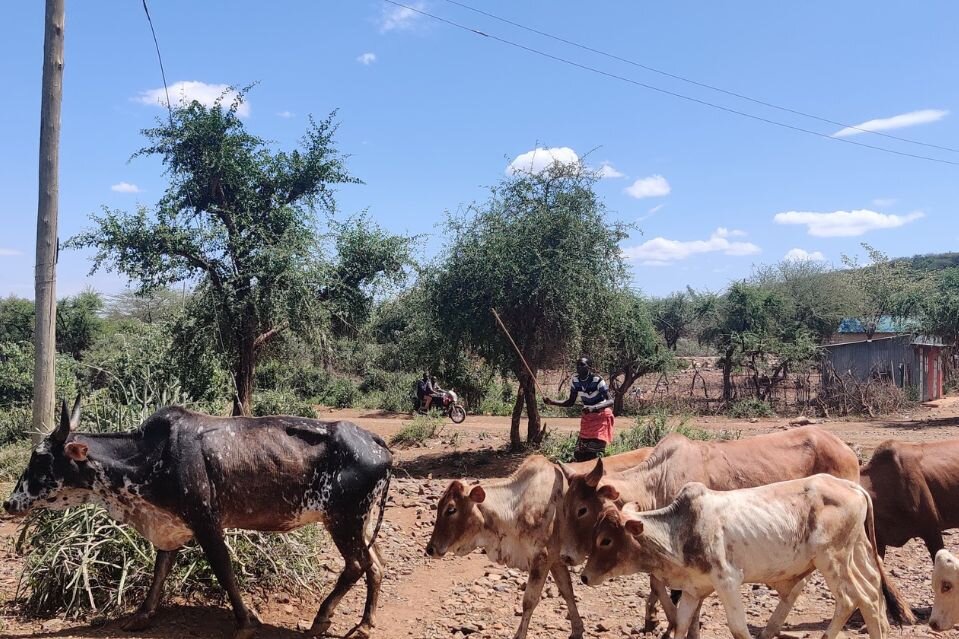 East Pokot landscape