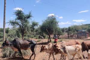 East Pokot landscape