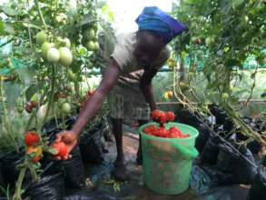 horticulture