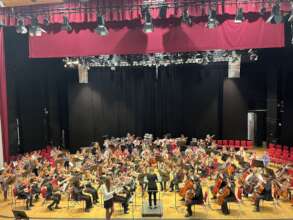 Massed Strings - Festival of Strings 2025