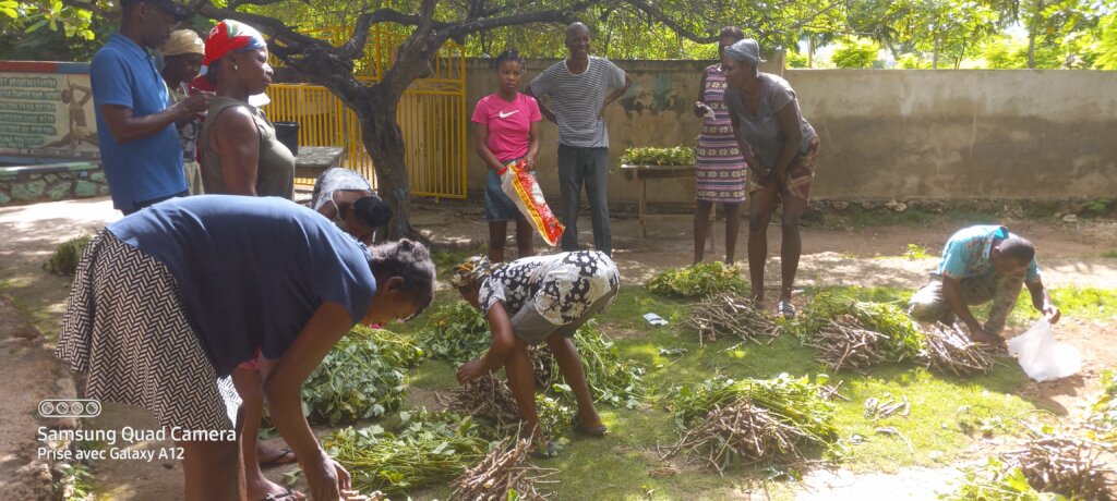 Parents return cuttings so others can plant too.