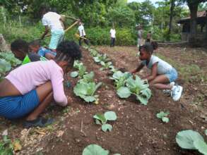 Students fertilizing lettuce in the school garden.