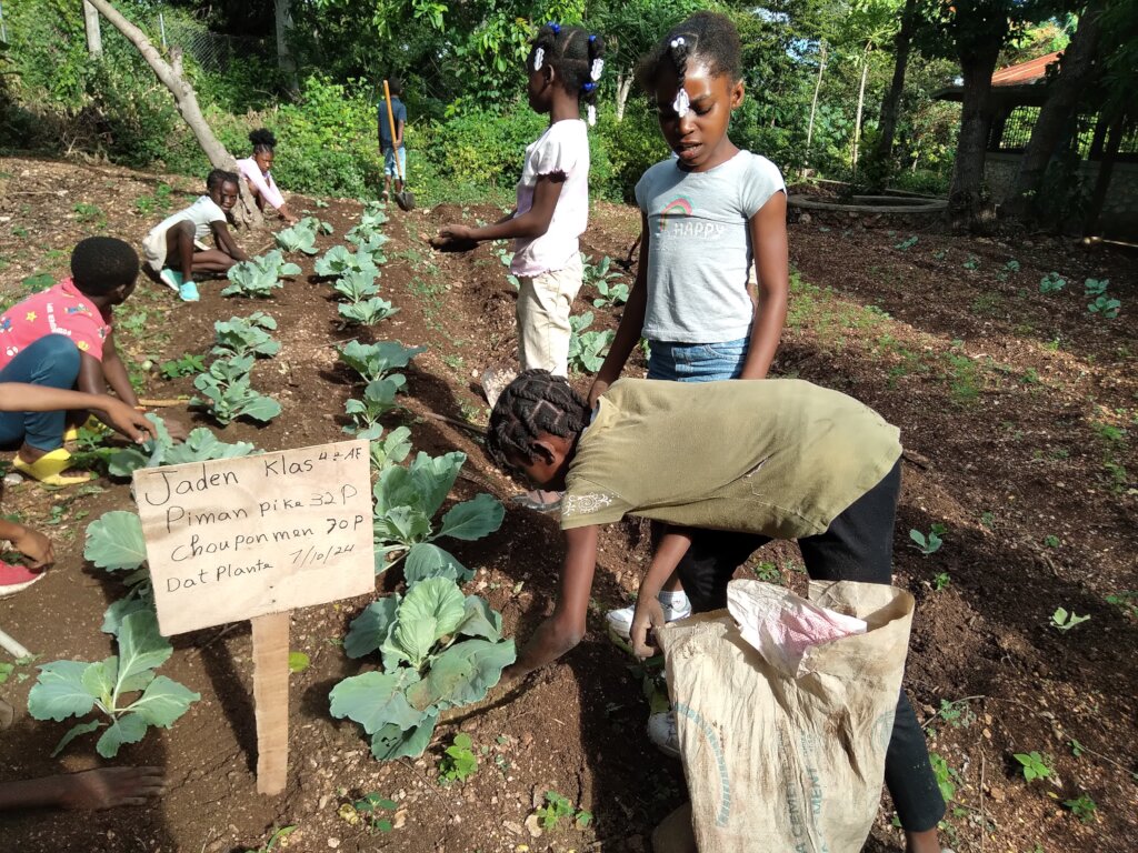 School gardens teach students lifelong skills.