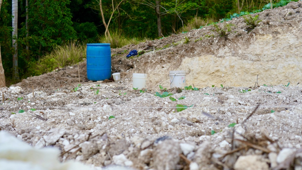 Terraces reduce erosion and conserve topsoil.
