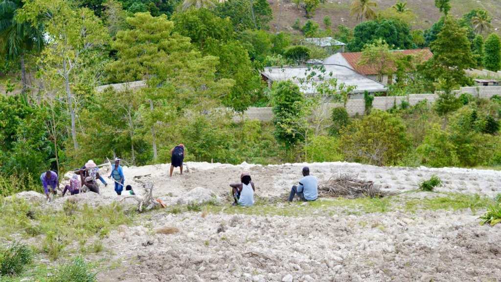 Planting vegetables in a new terrace.