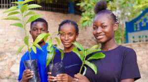Students hold seedlings during the May Day event.