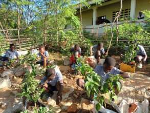 We are training teachers at 20 school gardens.