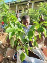 A student works in the school garden.