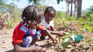 Students plant in one-meter plots of their own.