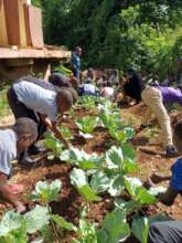 Students tending their school garden.
