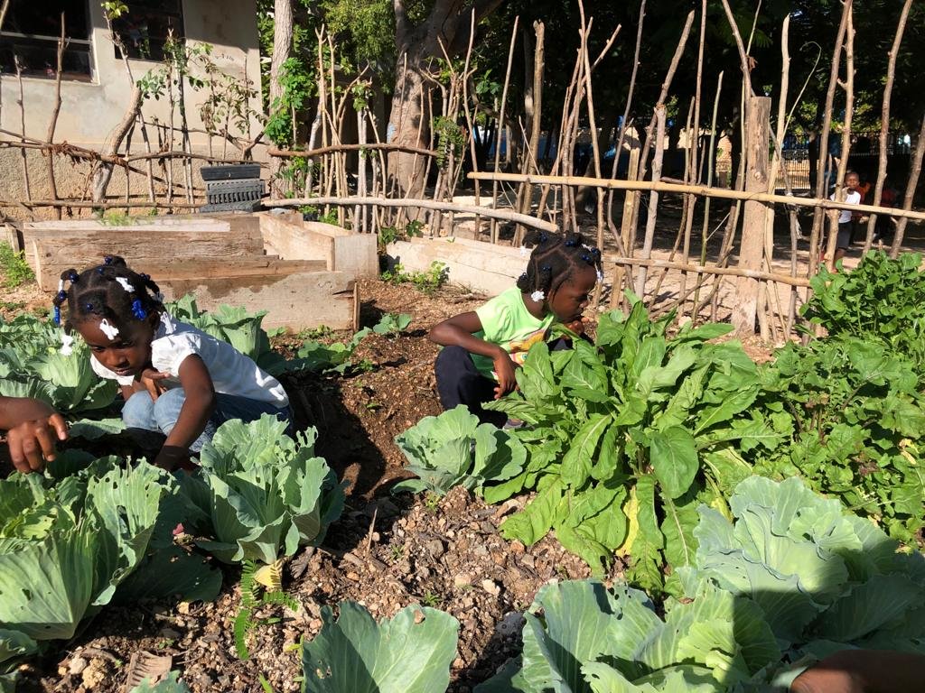 Help Raise 50K for Haitian Farmers to fight Hunger