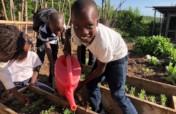 Help Raise 50K for Haitian Farmers to fight Hunger