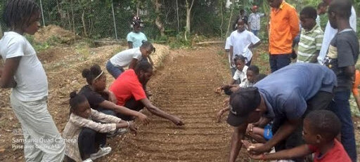 Fifth graders learn to sow wheat.