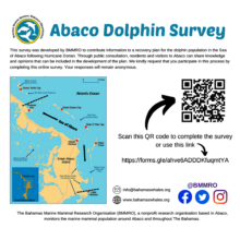 The flyer for our survey