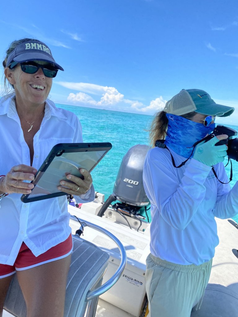 Saving Abaco's Dolphins after Hurricane Dorian