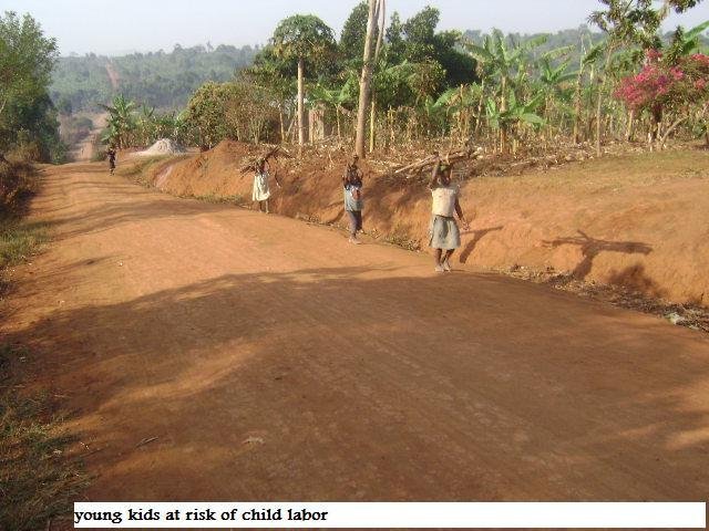 Support 150 widowed families with Chicks in Masaka