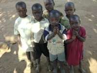 Support 150 widowed families with Chicks in Masaka
