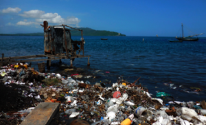 Toilet in Haiti (credit: Dr. Minmin Yen)