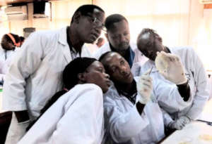 Stopping Deaths Caused by Antibiotic Resistance