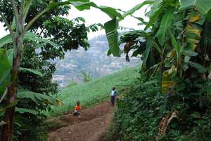 The steep Haitian mountains