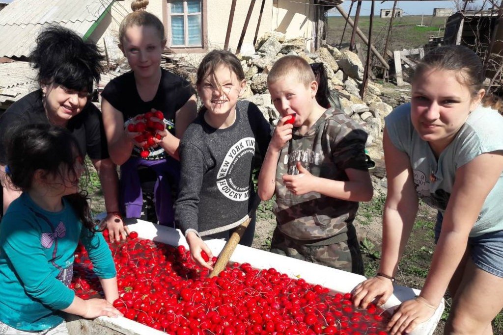 Build Greenhouse! Train, Feed Poor Kids and Youth