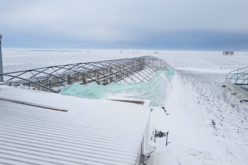 Build Greenhouse! Train, Feed Poor Kids and Youth