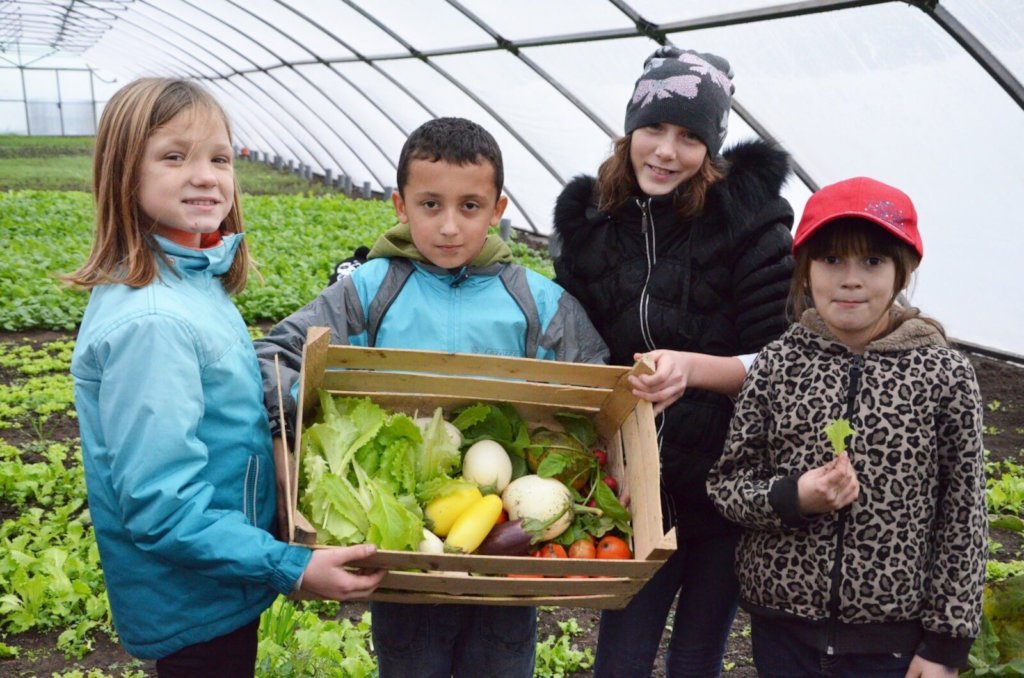 Build Greenhouse! Train, Feed Poor Kids and Youth