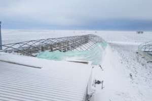 Greenhouse after hurricane