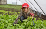 Build Greenhouse! Train, Feed Poor Kids and Youth