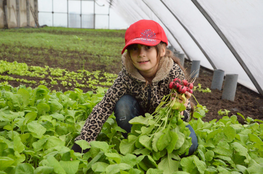 Build Greenhouse! Train, Feed Poor Kids and Youth