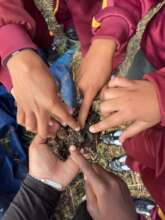 Alumni-taught Outdoor Classroom Program