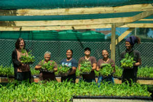 Alumni-led enterprises grow local jobs.