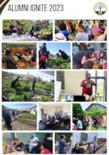 Catalysing the local green economy.