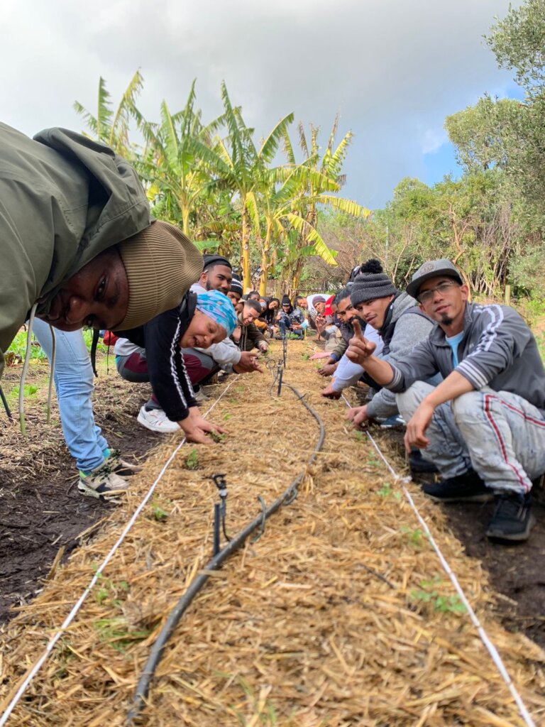 food gardening workshops