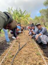 food gardening workshops