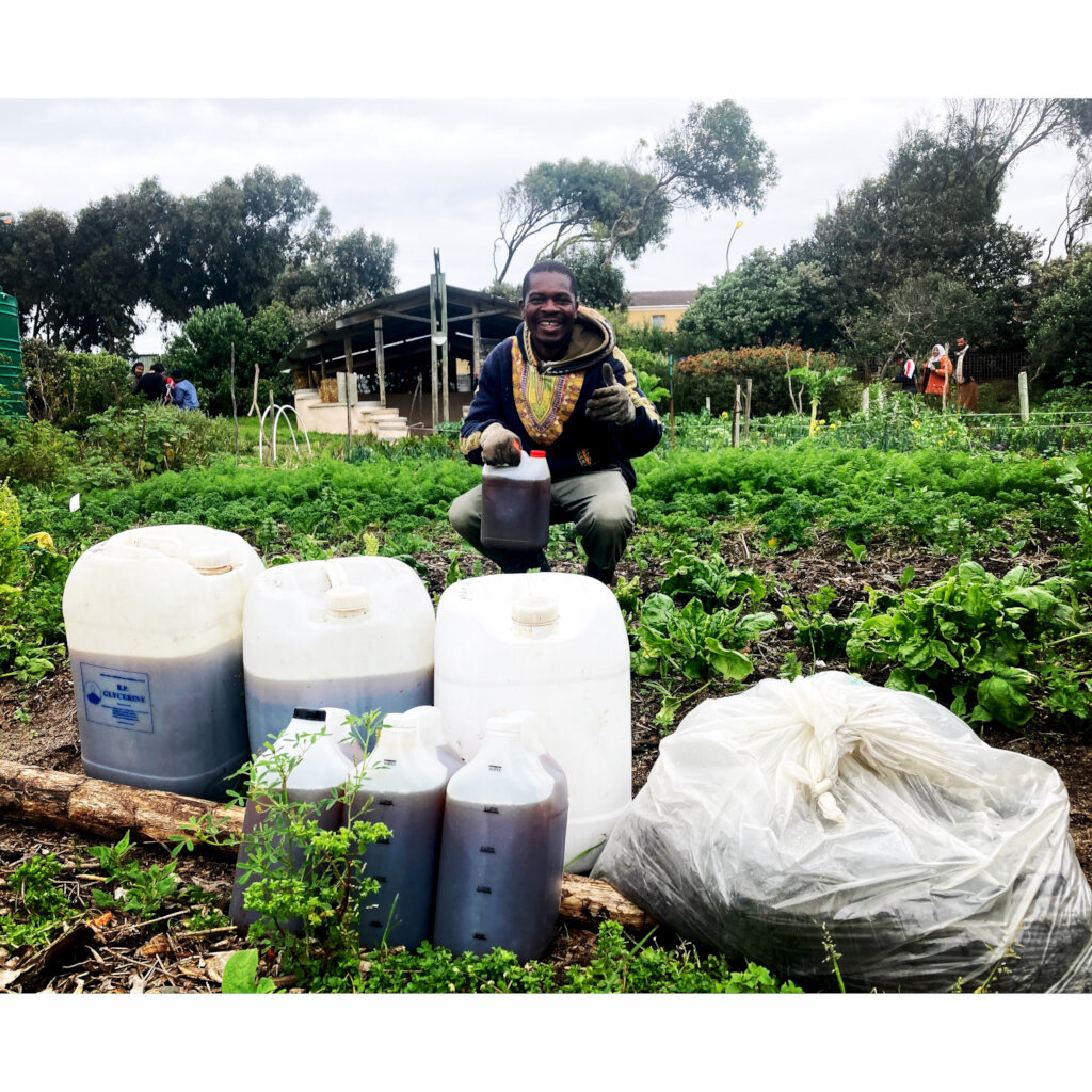 Growing local food gardens