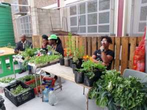 Local food markets