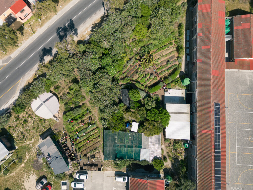 Cultivating a Greener Future Together