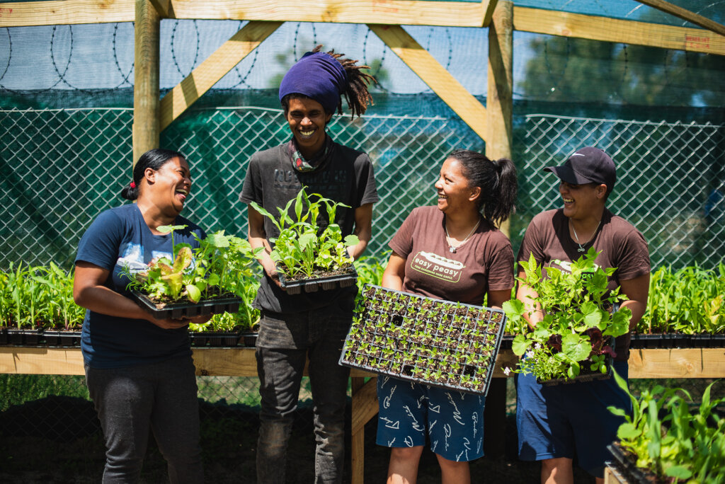 Job Placements in local green economy enterprises