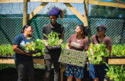 Cultivating a Greener Future Together