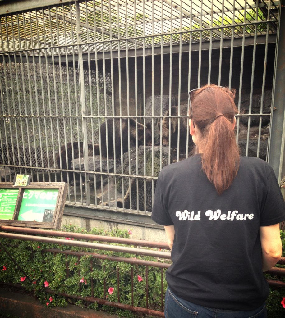 Improving Welfare For Captive Bears & All Animals