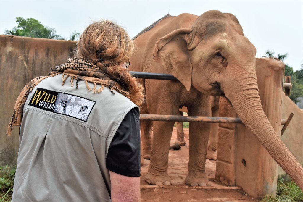 Improving Welfare For Captive Bears & All Animals