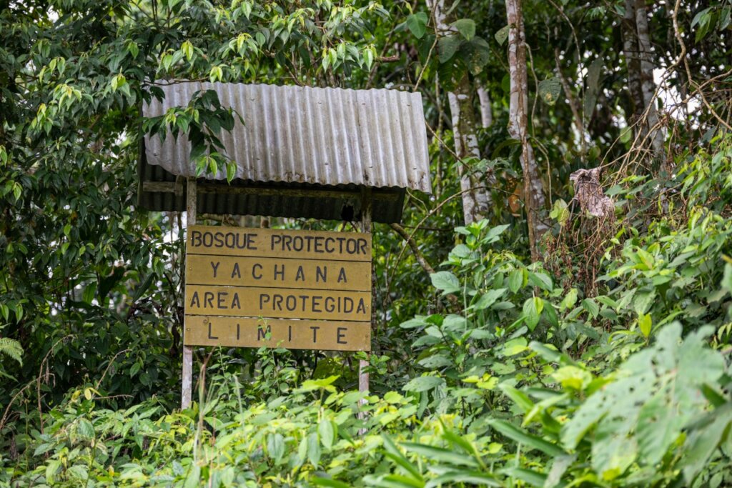 ACTIVITIES FOR ELDERLY IN THE ECUADORIAN AMAZON