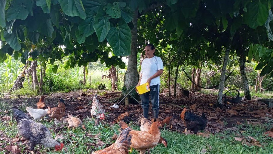 ACTIVITIES FOR ELDERLY IN THE ECUADORIAN AMAZON