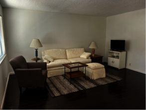 furnished living room