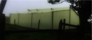 Greenhouse Projection