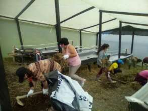 Working in the greenhouse