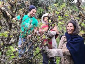 Community management of edible forests
