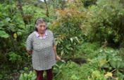 Community Edible Forest to Empower Rural Women