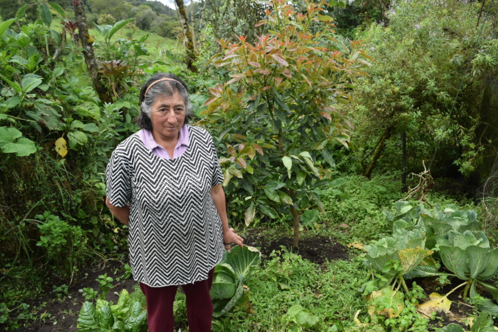 Community Edible Forest to Empower Rural Women